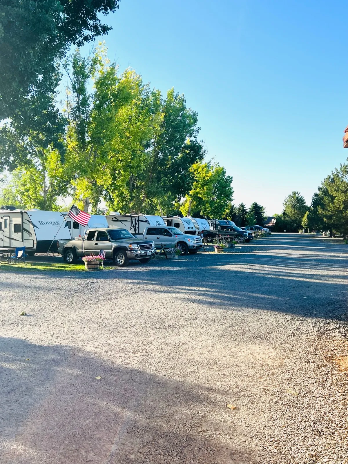 Back-in sites with travel trailers, shade trees and an American flag