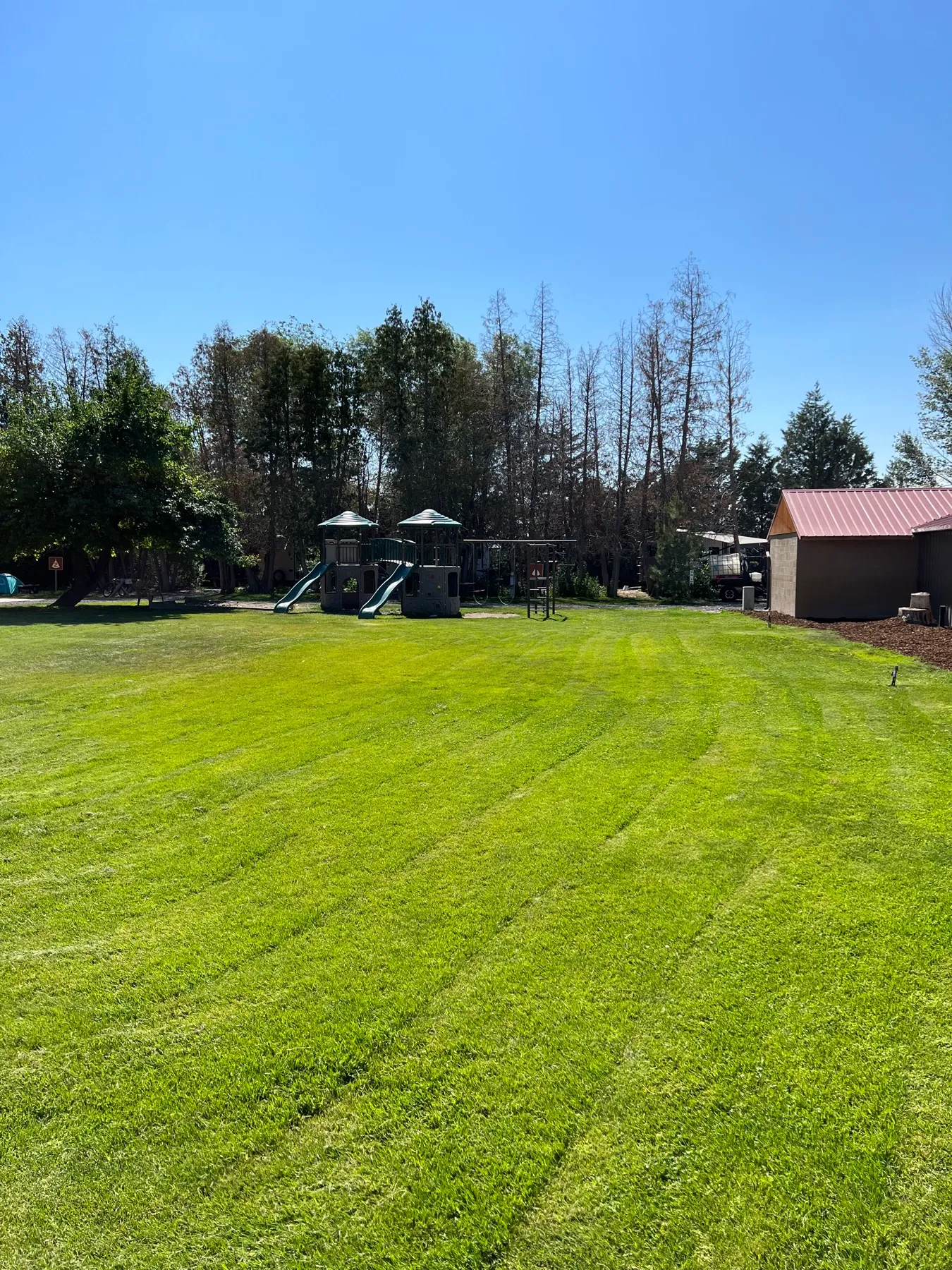 Grassy field with a playground for tent and van campers
